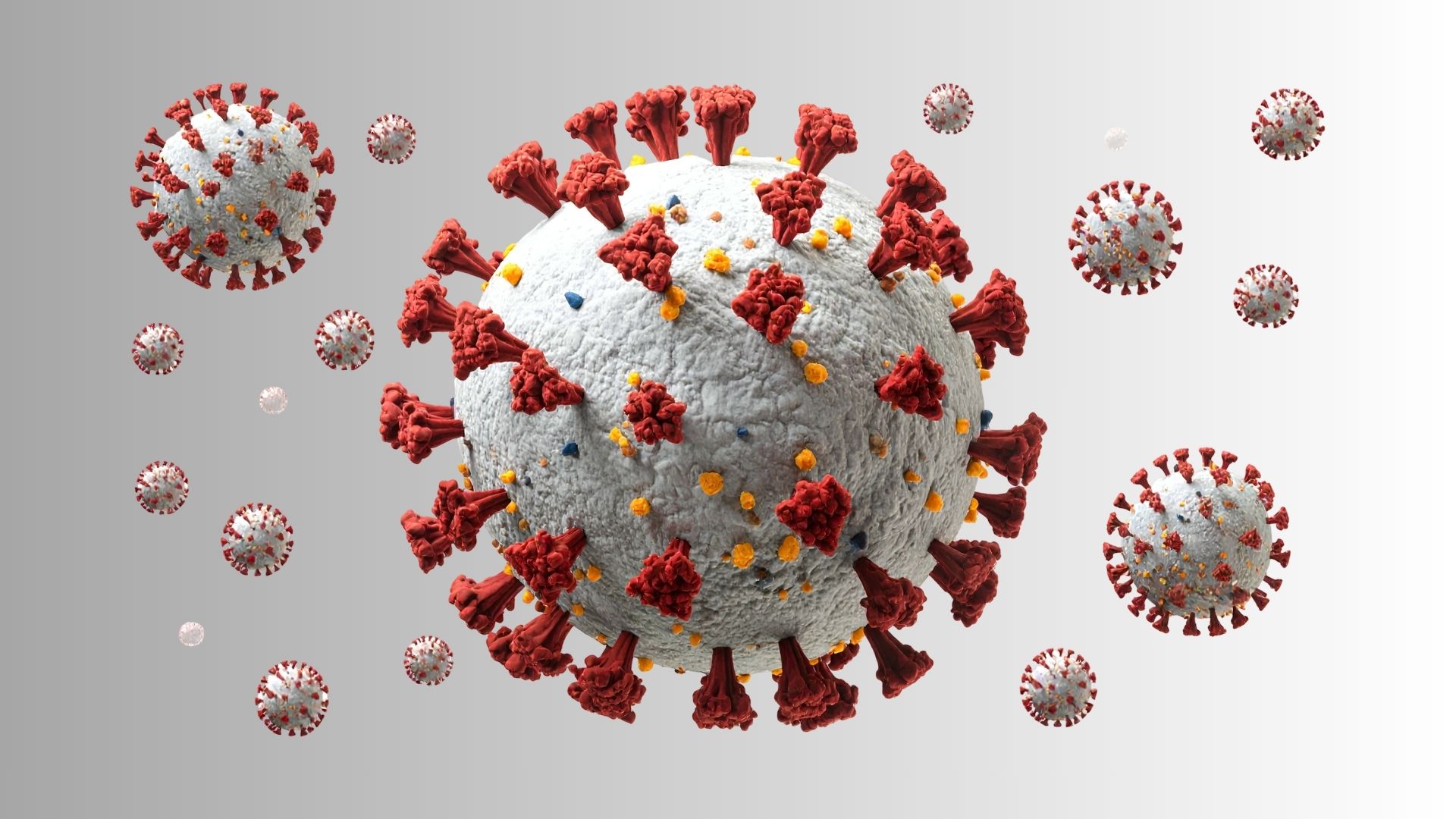 Image hantavirus